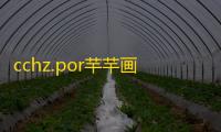 cchz.por芉芉画质144帧免root